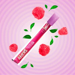 Mango Twist, Raspberry Combo Flavor Skippi Natural Ice Pop, Set Of 2 flavors of 12 Pack Ice Pops